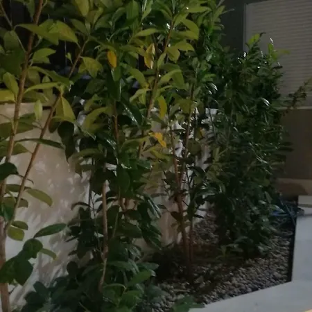 Urban With Heated Pool Apartamento